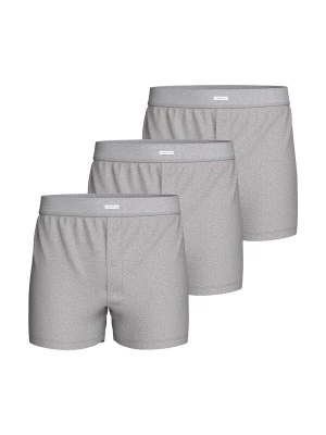 Foto van product IMPETUS Boxershorts grijs
