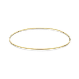 Foto van product Isabel Bernard Armband goud