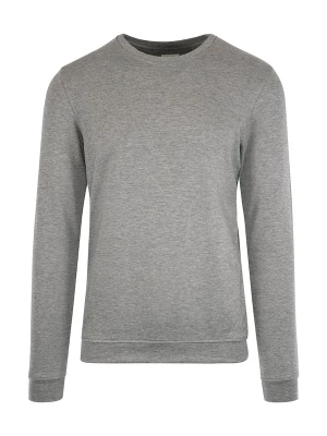 Foto van product JBS OF DENMARK Sweatshirt grijs