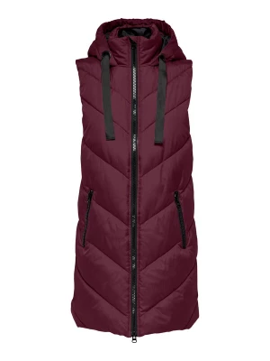 Foto van product JDY Bodywarmer 'JDYSkylar' bessen / zwart