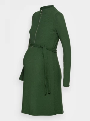 Foto van product Jerseyjurk Mamalicious groen