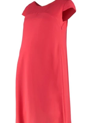 Foto van product Jerseyjurk Pomkin koraalrood