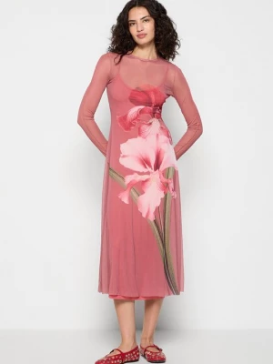 Foto van product Jerseyjurk Ted Baker donkerroze