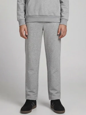 Foto van product JJ Rebel Broek 'JREBCREST' grijs gemêleerd
