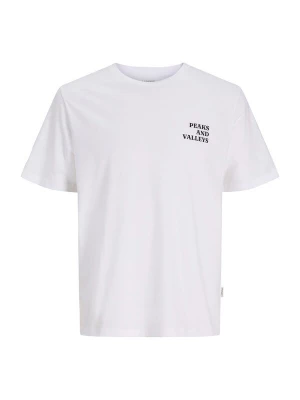 Foto van product JJ Rebel Shirt 'JREBJENNER' duifblauw / antraciet / lichtgrijs / wit