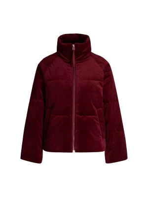 Foto van product JOOP! Winterjas bordeaux