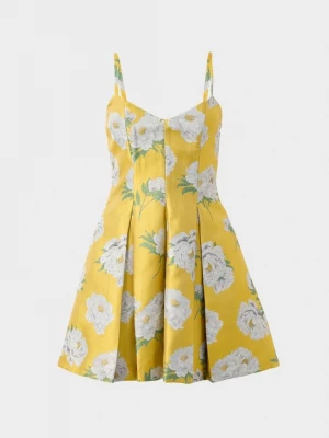Foto van product Jurk Alice + Olivia geel