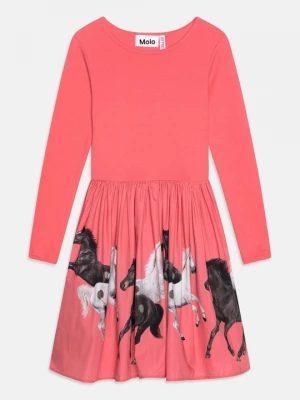 Foto van product Jurk Molo rood
