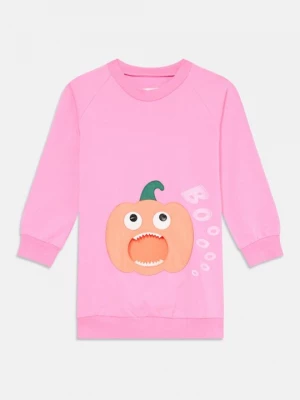 Foto van product Jurk WAUW CAPOW donkerroze