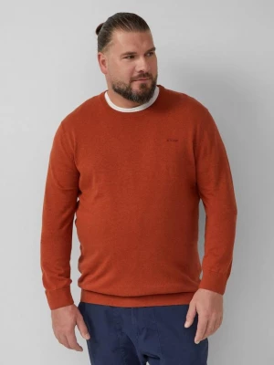 Foto van product Katoenen trui met geborduurd logo s.Oliver rood