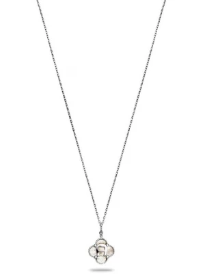 Foto van product Ketting Aigner zilverkleurig
