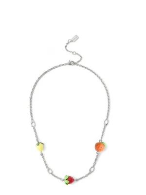 Foto van product Ketting Coach zilverkleurig