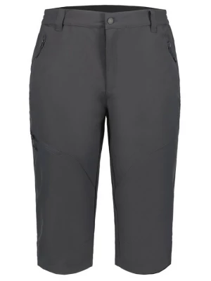 Foto van product Korte broeken icepeak grijs