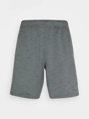 Foto van product Korte broeken Nike grijs