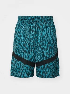 Foto van product Korte broeken Nike turquoise