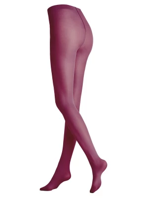 Foto van product KUNERT Fijne panty 'Velvet 40' bourgogne