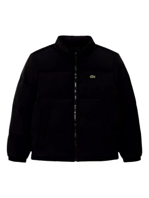 Foto van product LACOSTE Winterjas zwart