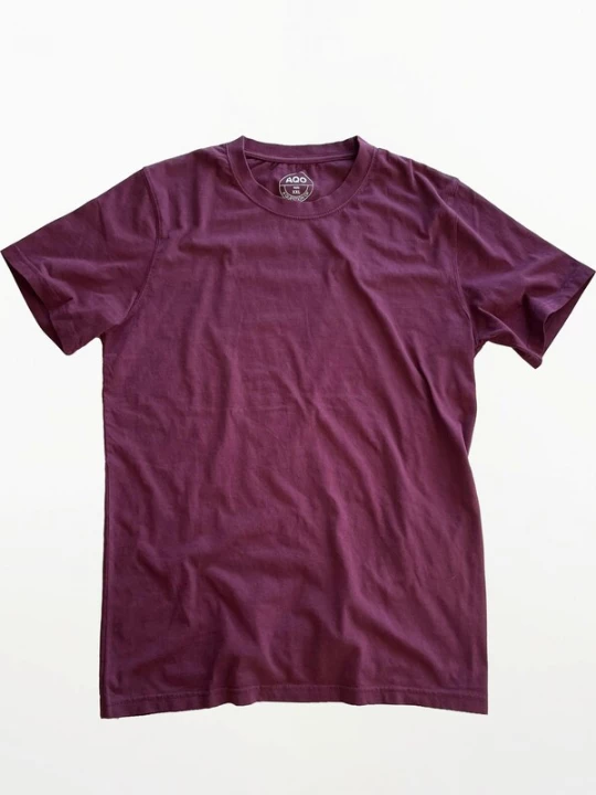 Foto van product A Question Of (AQO) Shirt 'Anders Tee Garment Dyed' pruim