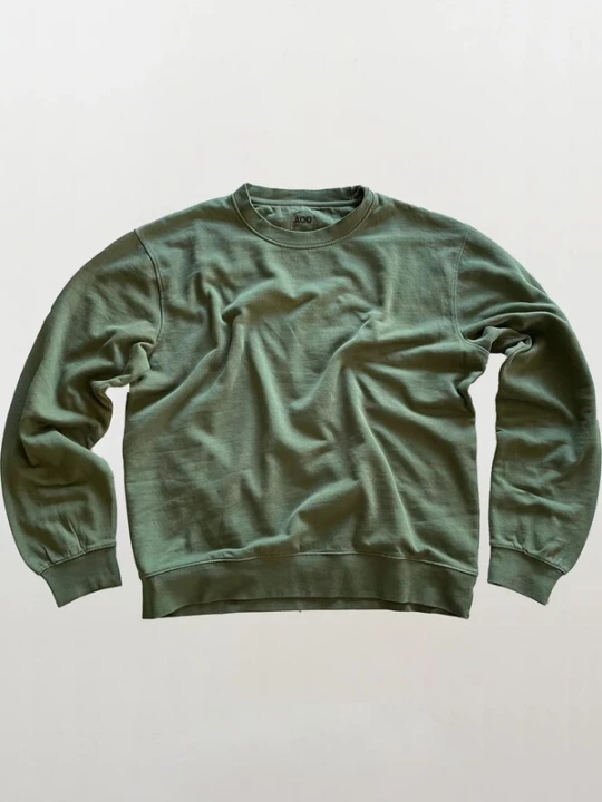 Foto van product A Question Of (AQO) Sweatshirt 'Johannes' groen