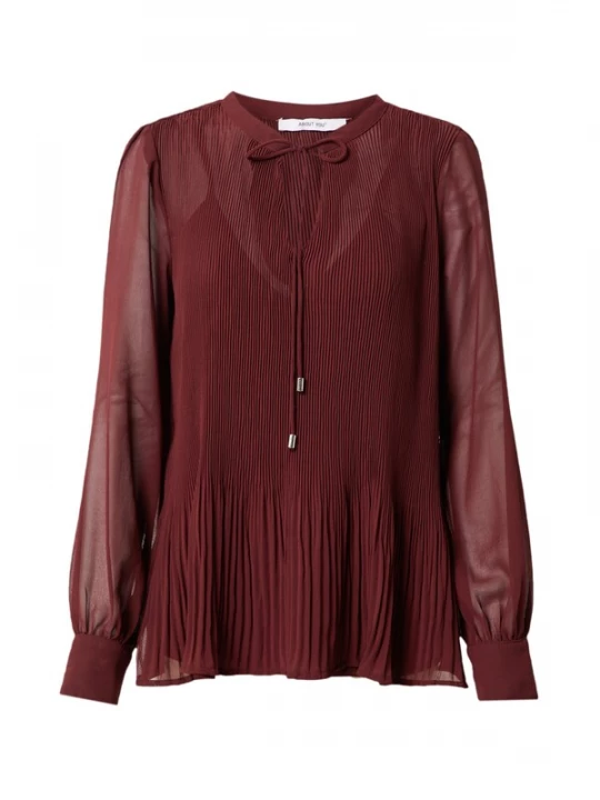 Foto van product ABOUT YOU Blouse 'Charlie' bordeaux