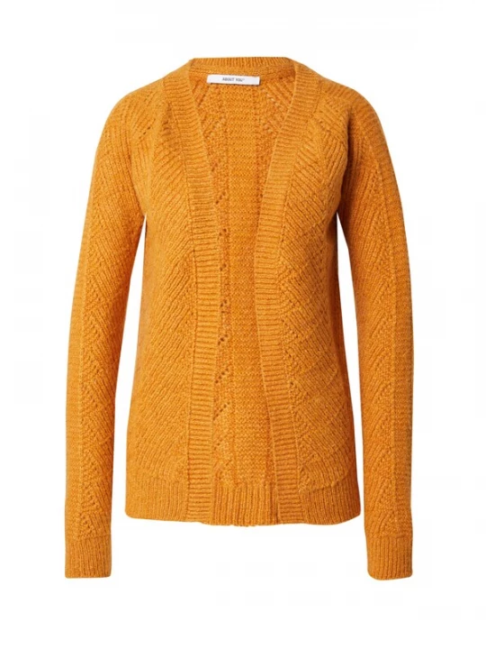 Foto van product ABOUT YOU Gebreid vest 'Jessa' oranje