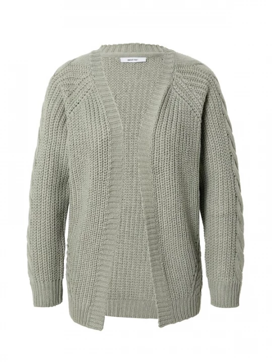 Foto van product ABOUT YOU Gebreid vest 'Saphira' pastelgroen