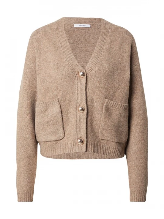 Foto van product ABOUT YOU Gebreid vest 'Thea' beige