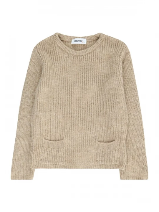 Foto van product ABOUT YOU Trui 'Ferdinand' beige