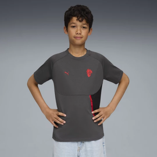 Foto van product AC Milan PUMATECH T-shirt met zak, Grijs / Rood