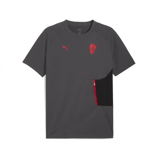 Foto van product AC Milan PUMATECH T-shirt met zak voor Heren, Grijs / Rood