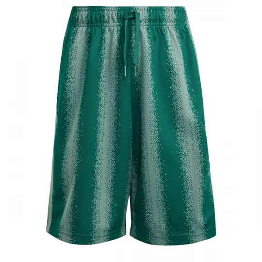 Foto van product ADIDAS ORIGINALS Broek 'Minecraft' smaragd / mintgroen