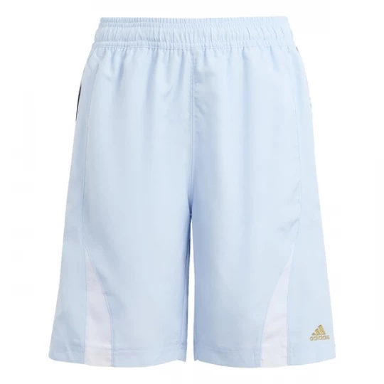 Foto van product ADIDAS ORIGINALS Broek 'Teamgeist' lichtblauw / goud / wit