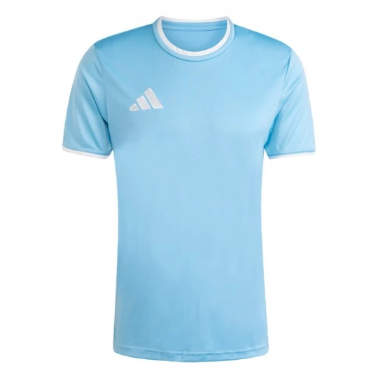 Foto van product ADIDAS PERFORMANCE Functioneel shirt 'Entrada26' lichtblauw / wit