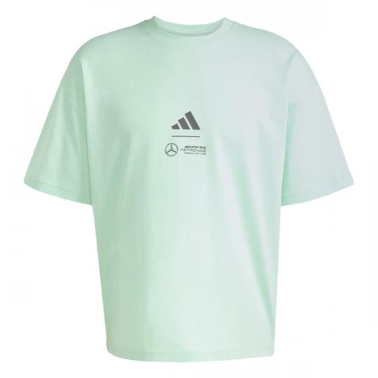 Foto van product ADIDAS PERFORMANCE Functioneel shirt 'Mercedes - AMG Petronas Formula One Team Premium' grijs / mintgroen