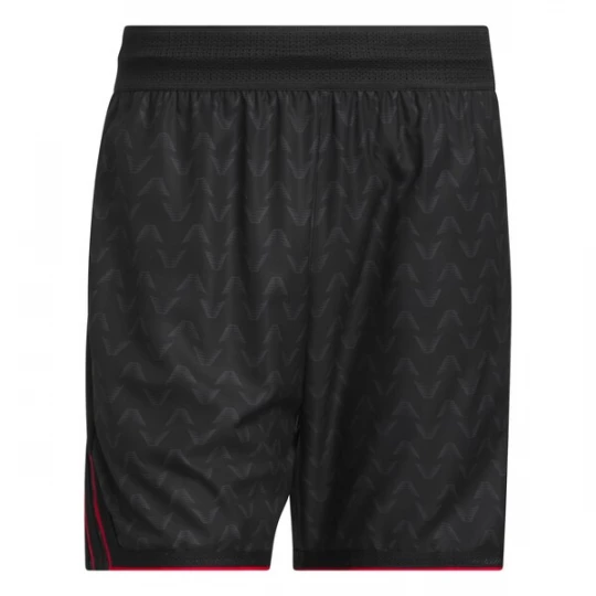 Foto van product ADIDAS PERFORMANCE Sportbroek 'Anthony Edwards Crazy Lite' antraciet / rood / zwart
