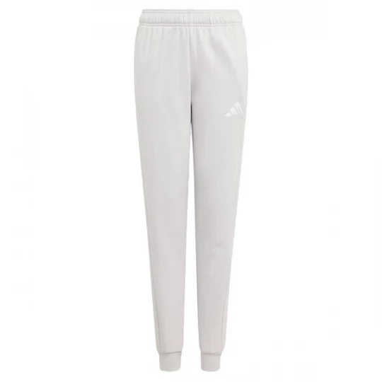Foto van product ADIDAS PERFORMANCE Sportbroek 'Entrada26' grijs