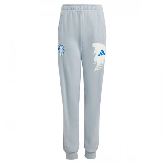 Foto van product ADIDAS PERFORMANCE Sportbroek 'Jude Bellingham' blauw / lichtgrijs / offwhite