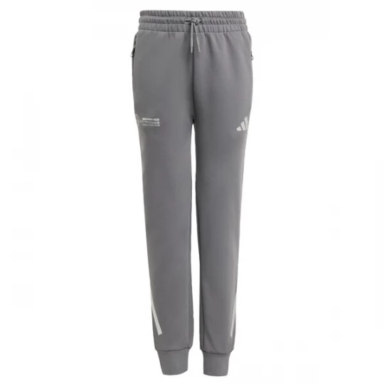 Foto van product ADIDAS PERFORMANCE Sportbroek 'Mercedes - AMG Petronas Formula One Team' grijs / wit