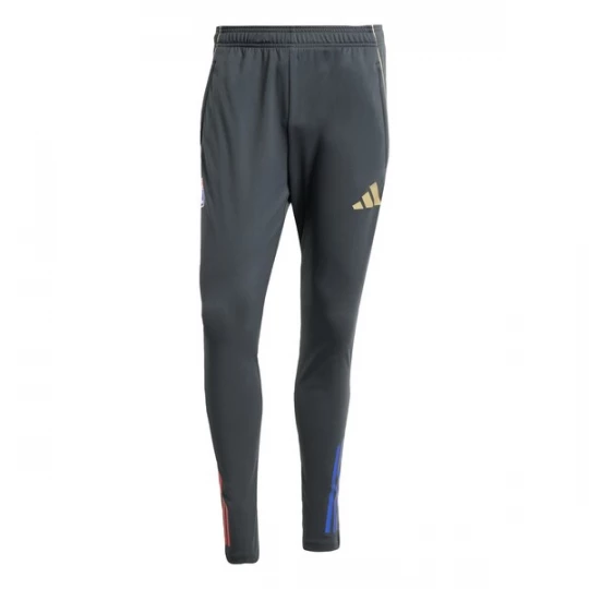 Foto van product ADIDAS PERFORMANCE Sportbroek 'Olympique Lyon Tiro 25 Competition' blauw / grijs