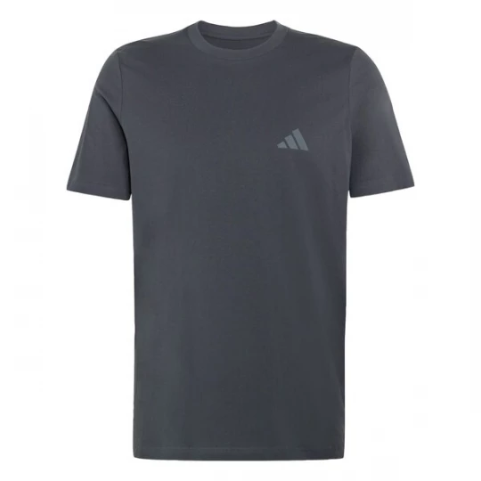Foto van product ADIDAS TERREX Functioneel shirt 'Mountain' grijs / antraciet