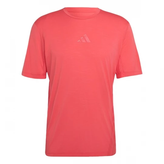 Foto van product ADIDAS TERREX Functioneel shirt 'Xperior' framboos