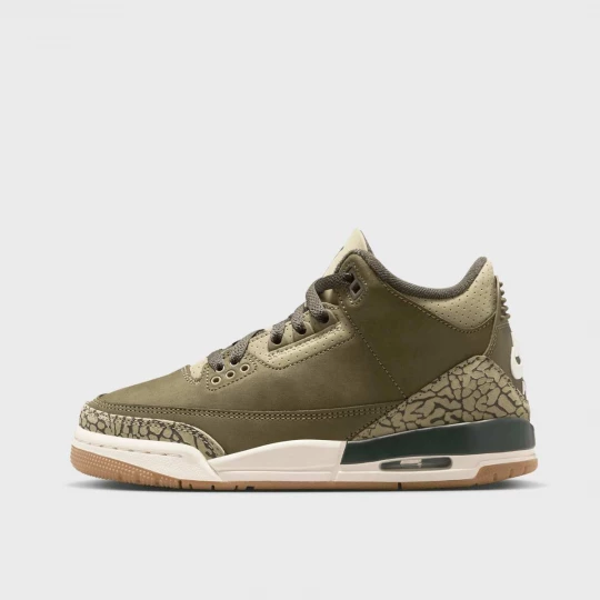 Foto van product Air Jordan 3 Retro "Family Affair" (GS) groen