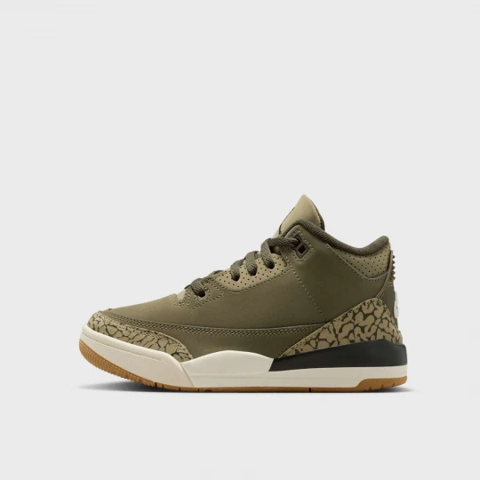Foto van product Air Jordan 3 Retro "Family Affair" Kinderen groen