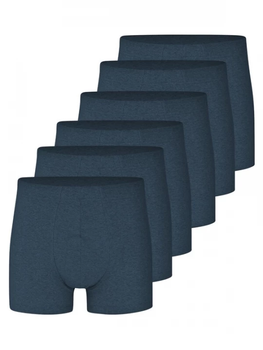 Foto van product Almonu Boxershorts 'Cotton - Melange' blauw