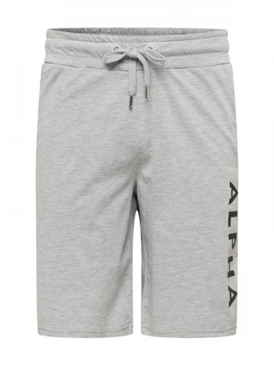 Foto van product ALPHA INDUSTRIES Broek grijs / zwart