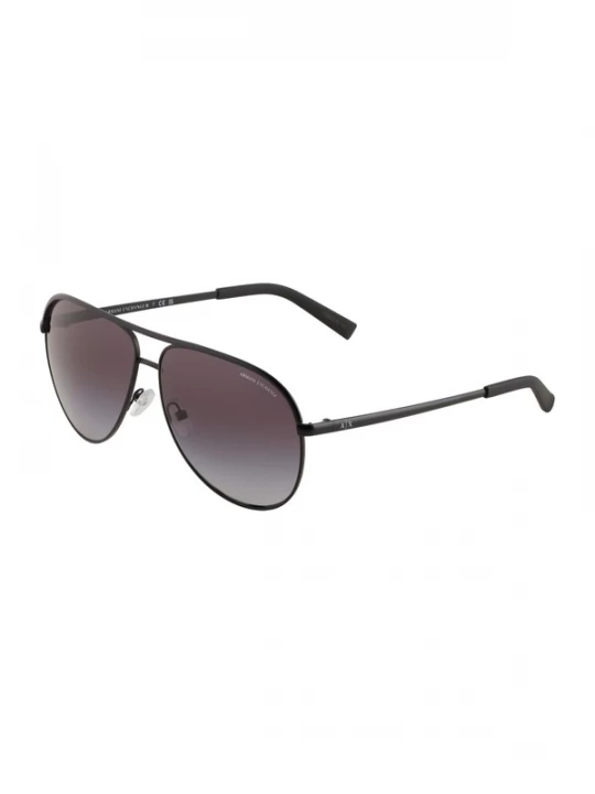 Foto van product ARMANI EXCHANGE Zonnebril '0AX2002' zwart