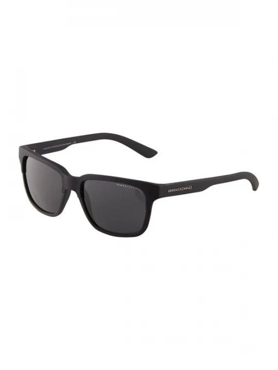 Foto van product ARMANI EXCHANGE Zonnebril '4026S' zwart