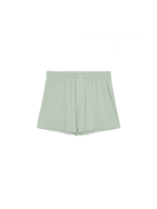 Foto van product ARMEDANGELS Boxershorts 'AASKER' lichtgroen