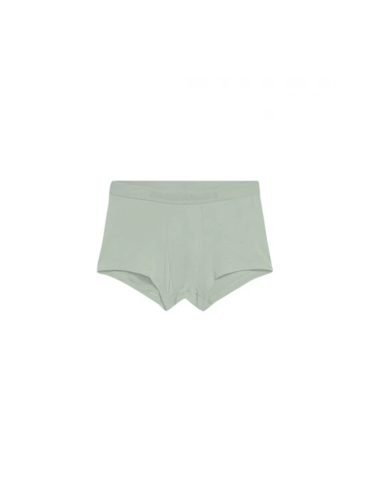 Foto van product ARMEDANGELS Boxershorts 'KLAAUS' lichtgroen