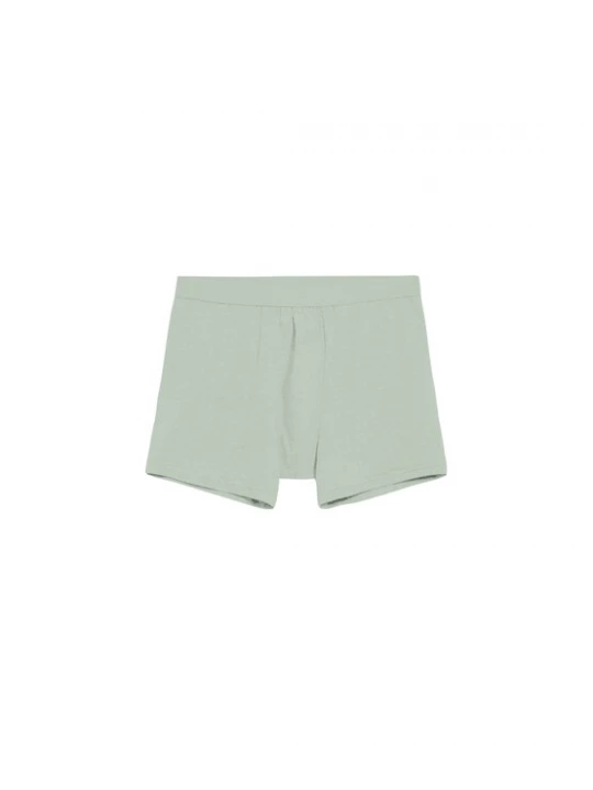 Foto van product ARMEDANGELS Boxershorts 'Ricaard' lichtgroen